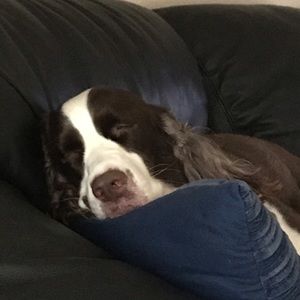 Meet your Posher, Kathryn